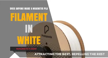 Exploring the Availability of White Magnetic PLA Filament