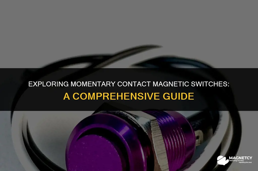 does anyone make a momentary contact magnetic switch