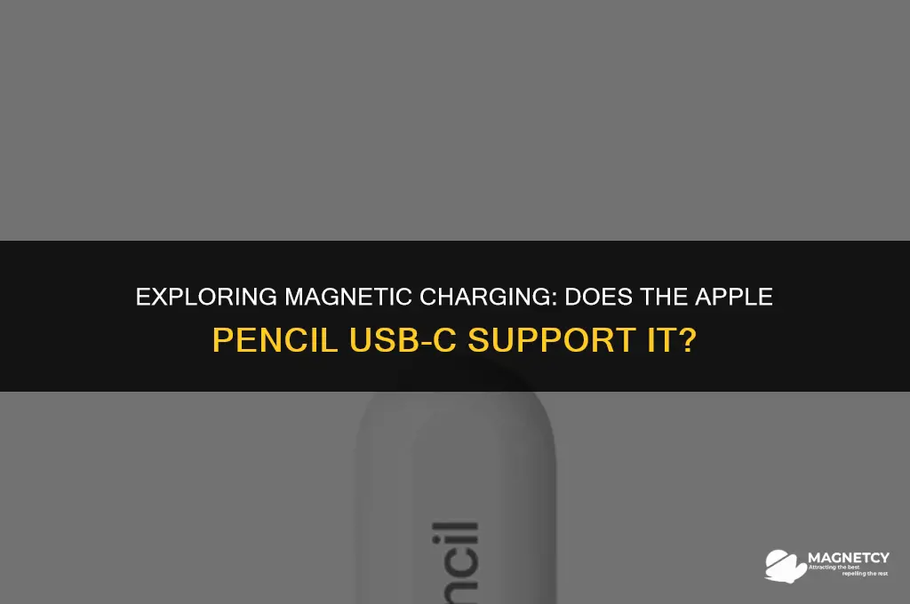 does apple pencil usb c charge magnetically