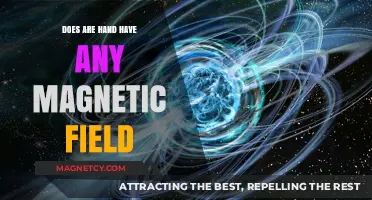 Exploring the Magnetic Mysteries of Our Hands