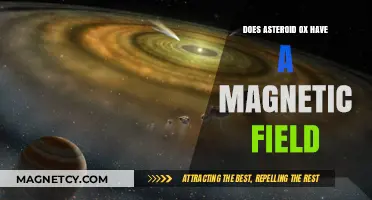 Unveiling the Mysteries: Does Asteroid Ox Harbor a Magnetic Field?