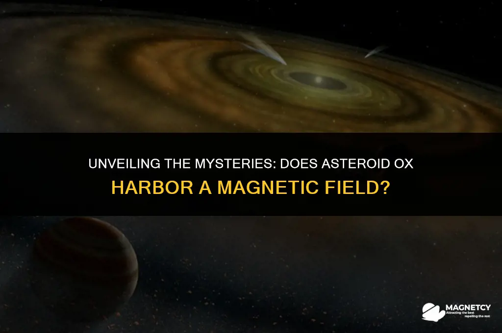 does asteroid ox have a magnetic field
