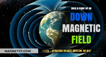 Decoding Magnetic Fields: The Direction of Point B Explained