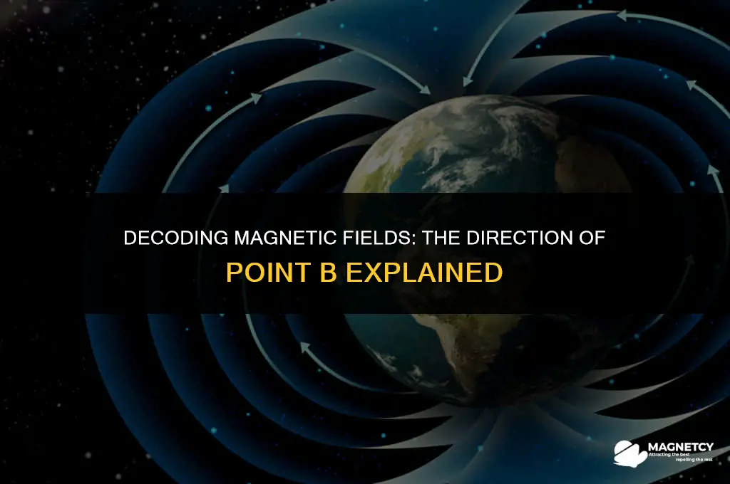 does b point up or down magnetic field