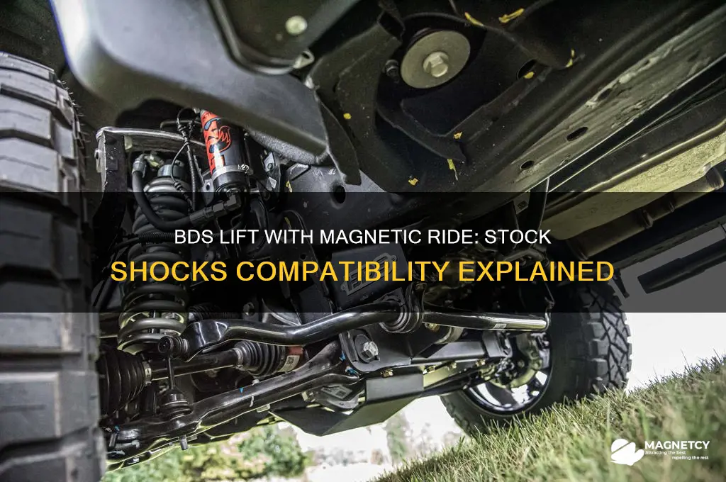 does bds lift for magnetic ride use stock shocks