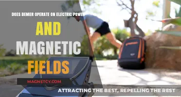 Exploring BEMER: The Intersection of Electric Power and Magnetic Fields