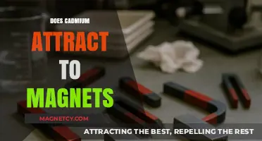 Does Cadmium Attract to Magnets? Unraveling the Magnetic Properties of Cadmium
