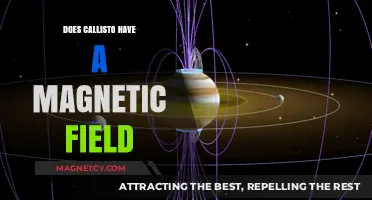 Exploring Callisto: Unveiling the Mysteries of its Magnetic Field