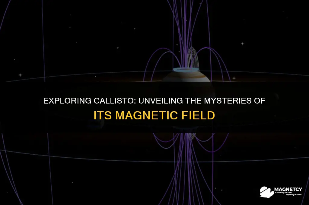 does callisto have a magnetic field