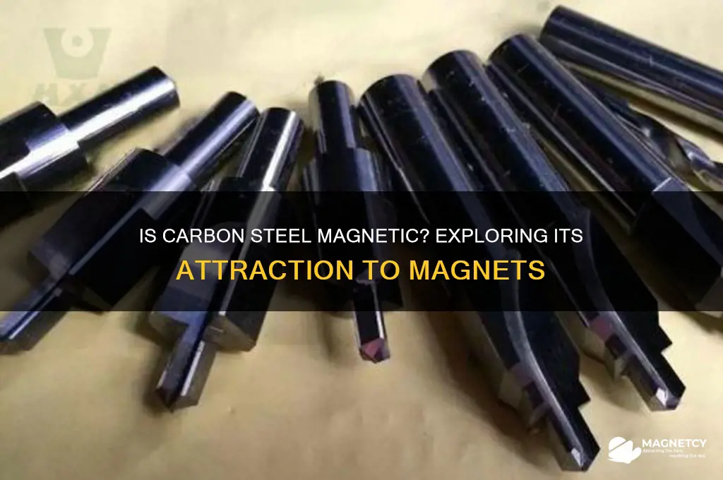 does carbon steel attracted to magnets