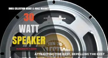 Exploring Celestion's Speaker Options: 40oz Magnet, 30 Watts?