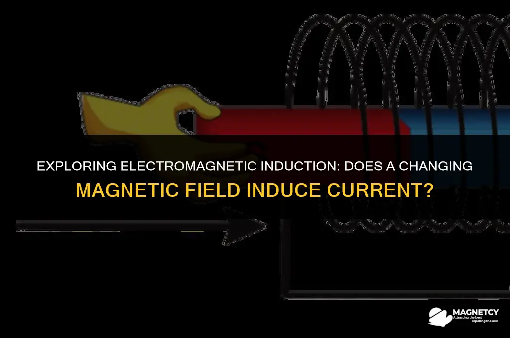 does changing magnetic field induce current
