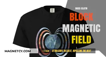 Exploring the Mysteries: Can Cloth Really Block Magnetic Fields?