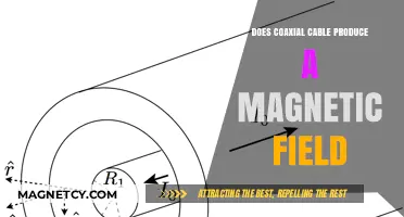 Exploring the Magnetic Mysteries of Coaxial Cables