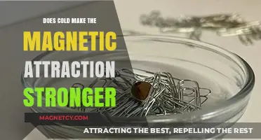 Cold's Impact on Magnetic Attraction: Strengthening or Weakening Forces?