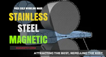 Unveiling the Magnetic Mystery of Cold-Worked Stainless Steel