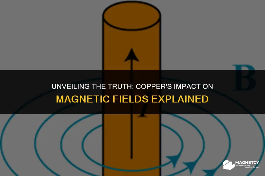 does copper affect magnetic field