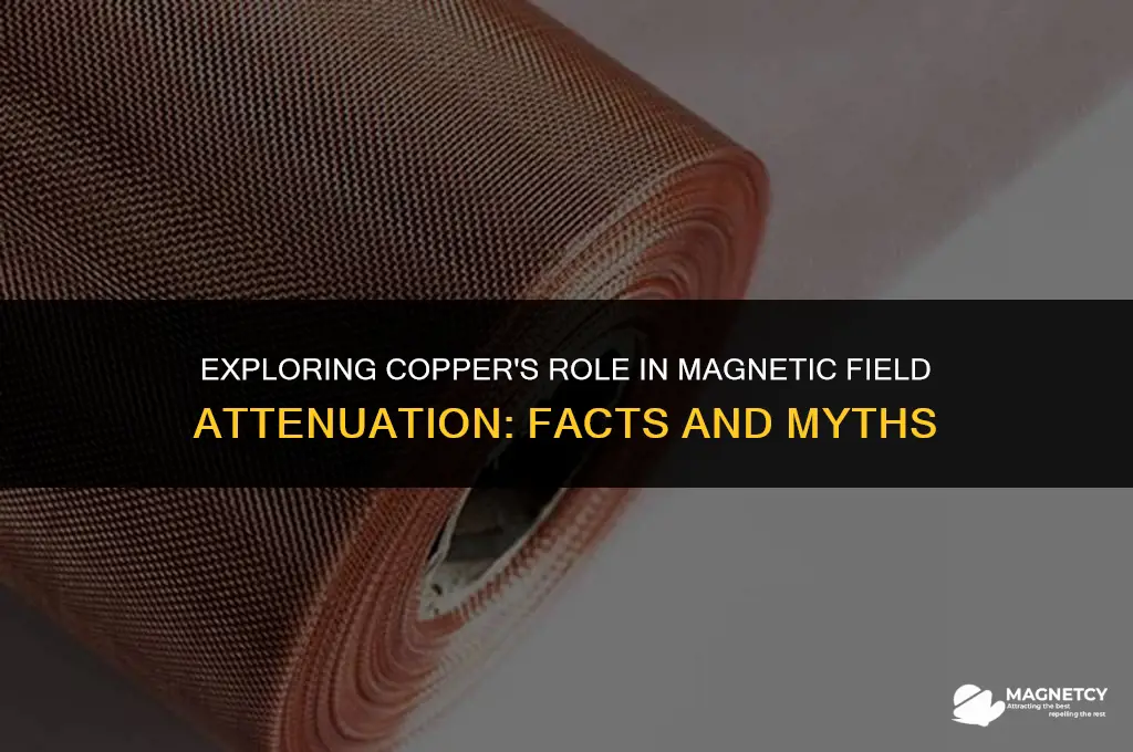 does copper attenuate magnetic fields