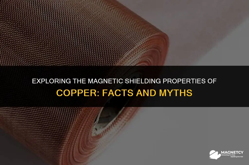 does copper block magnetic fields