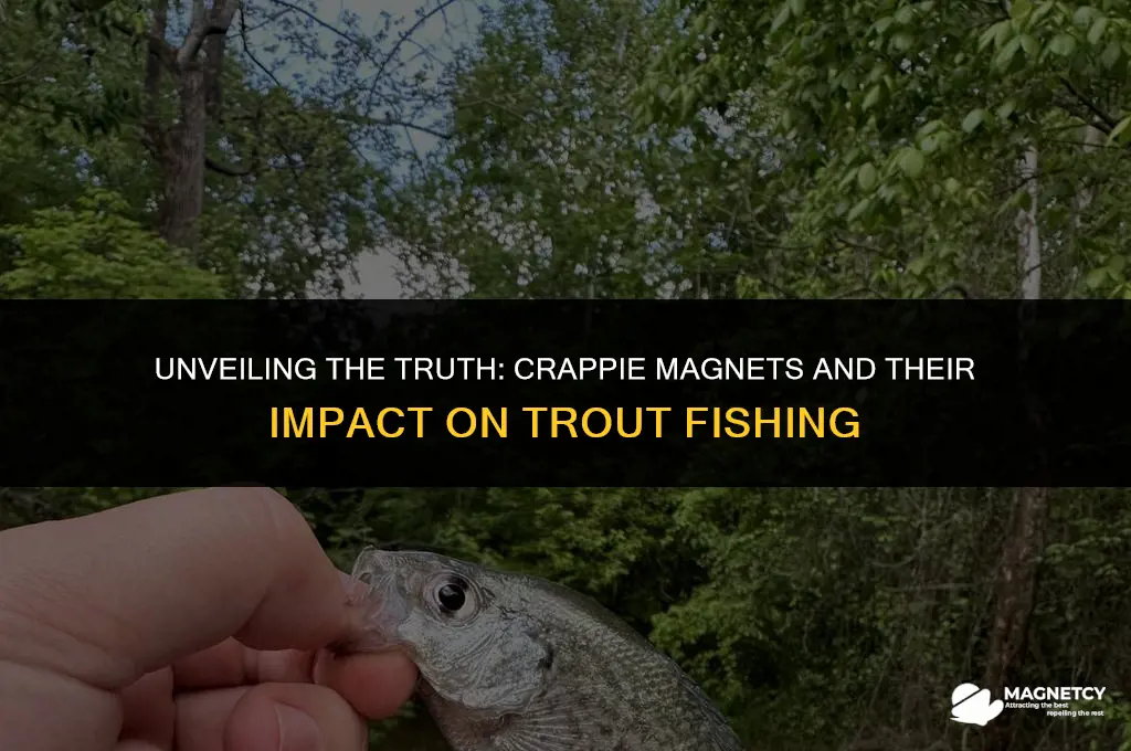 does crappie magnet work for trout