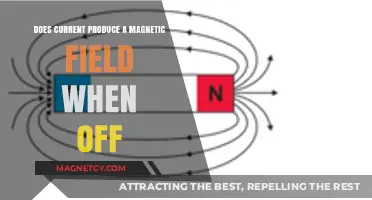 Exploring the Hidden Magnetic Fields of Inactive Currents