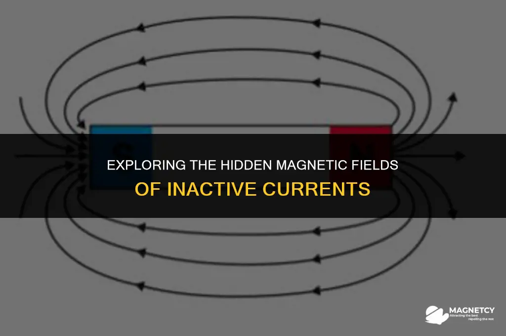does current produce a magnetic field when off