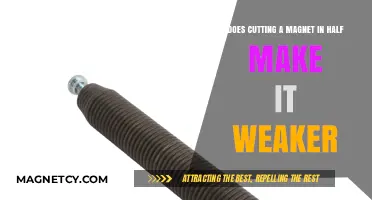 Unraveling the Myth: Does Slicing a Magnet Really Weaken Its Power?