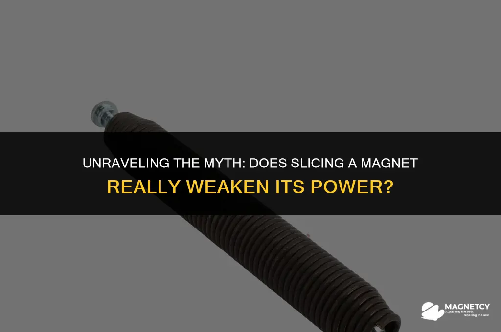 does cutting a magnet in half make it weaker