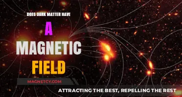 Unveiling the Mysteries: Dark Matter's Elusive Magnetic Field Explored