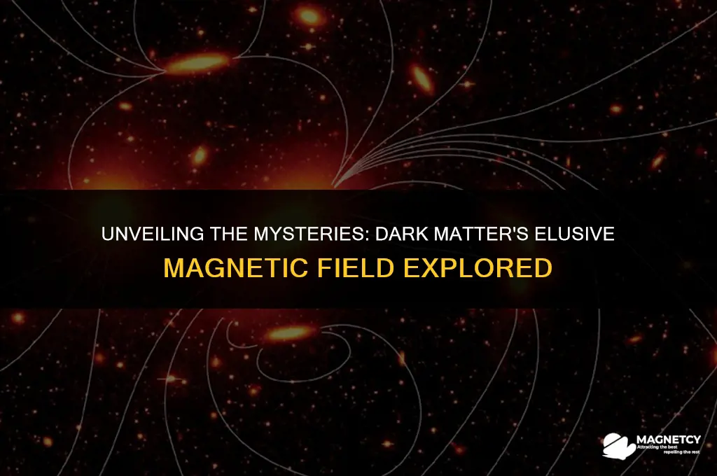does dark matter have a magnetic field