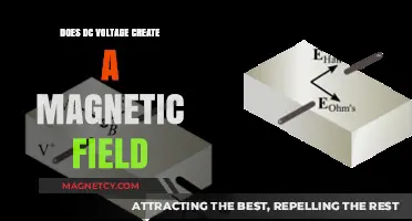 Exploring the Link Between DC Voltage and Magnetic Fields