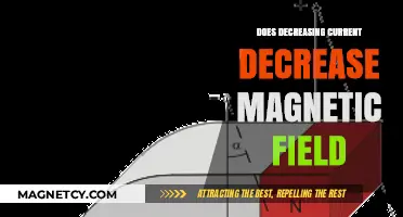 Exploring the Link Between Electric Current and Magnetic Fields