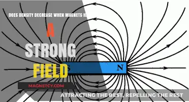 Exploring Magnetism: Does Density Diminish in Strong Magnetic Fields?