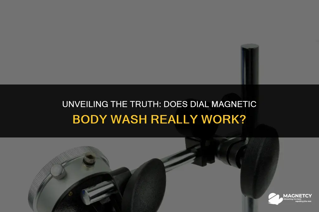 does dial magnetic body wash work