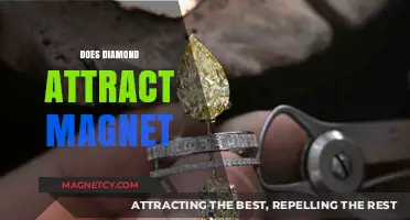 Do Diamonds Attract Magnets? Unveiling the Magnetic Truth About Diamonds