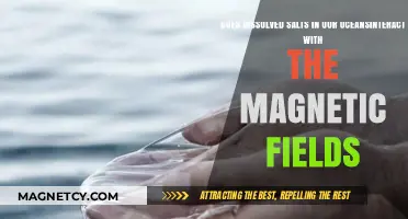 Ocean's Salty Secrets: Unveiling the Dance with Magnetic Fields