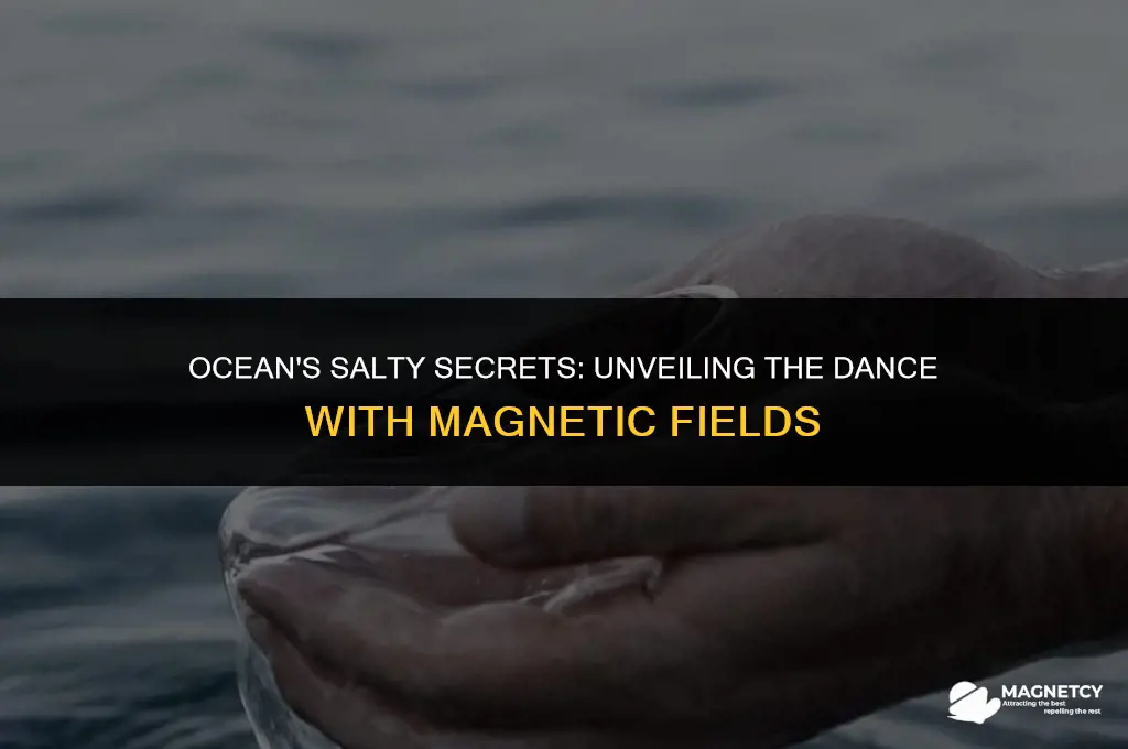 does dissolved salts in our oceansinteract with the magnetic fields