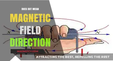 Understanding Magnetism: What Does the Dot Really Mean?
