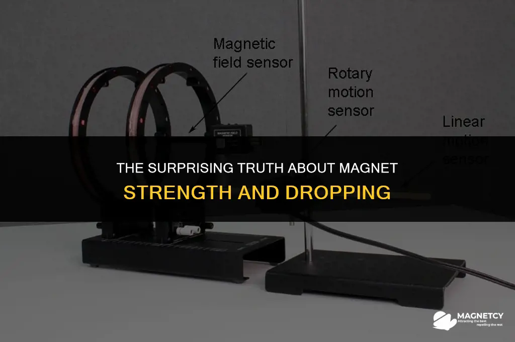 does dropping a magnet make it stronger
