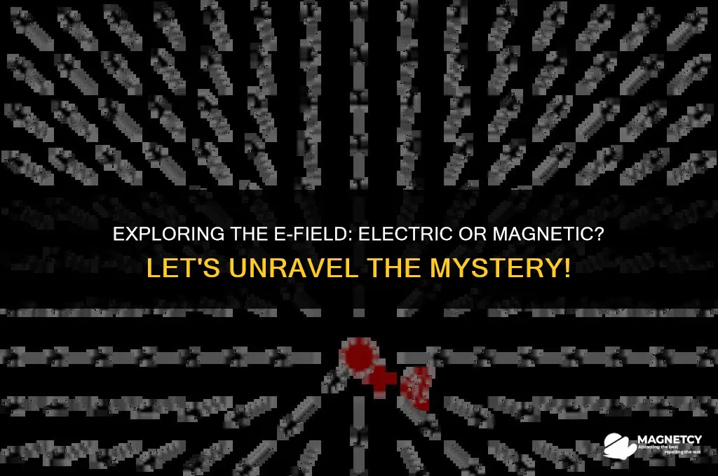 does e field represent electric or magnetic fiedl