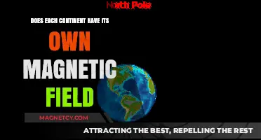 Exploring Earth's Magnetic Diversity: A Continental Perspective