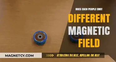 Exploring the Unique Magnetic Fields Emitted by Every Individual