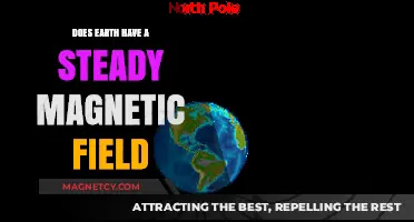 Exploring Earth's Magnetic Field: Steady or Shifting?