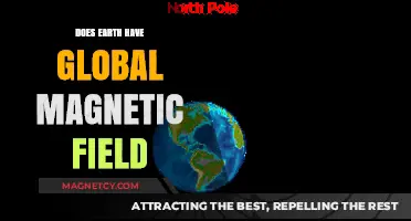 Exploring Earth's Invisible Shield: The Global Magnetic Field