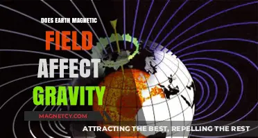 Exploring the Intricate Dance Between Earth's Magnetic Field and Gravity