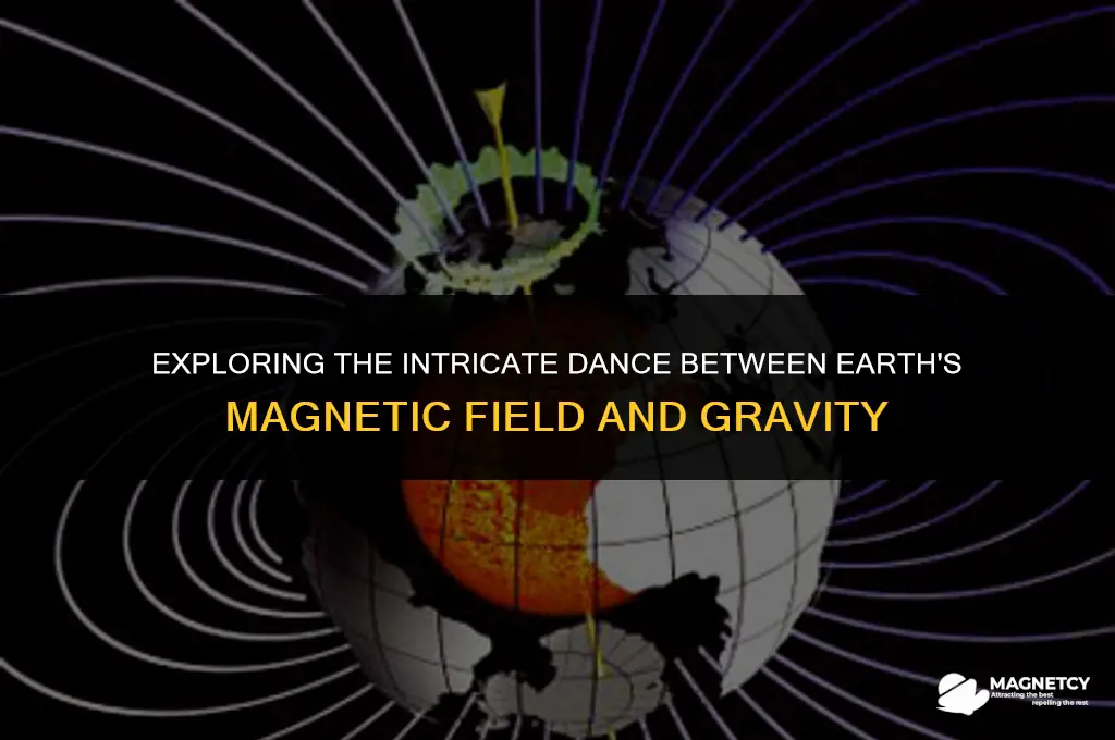 does earth magnetic field affect gravity
