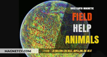 Navigating Nature: Earth's Magnetic Field and Animal Behavior