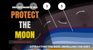 Shielding the Moon: Earth's Magnetic Field Defense in Action
