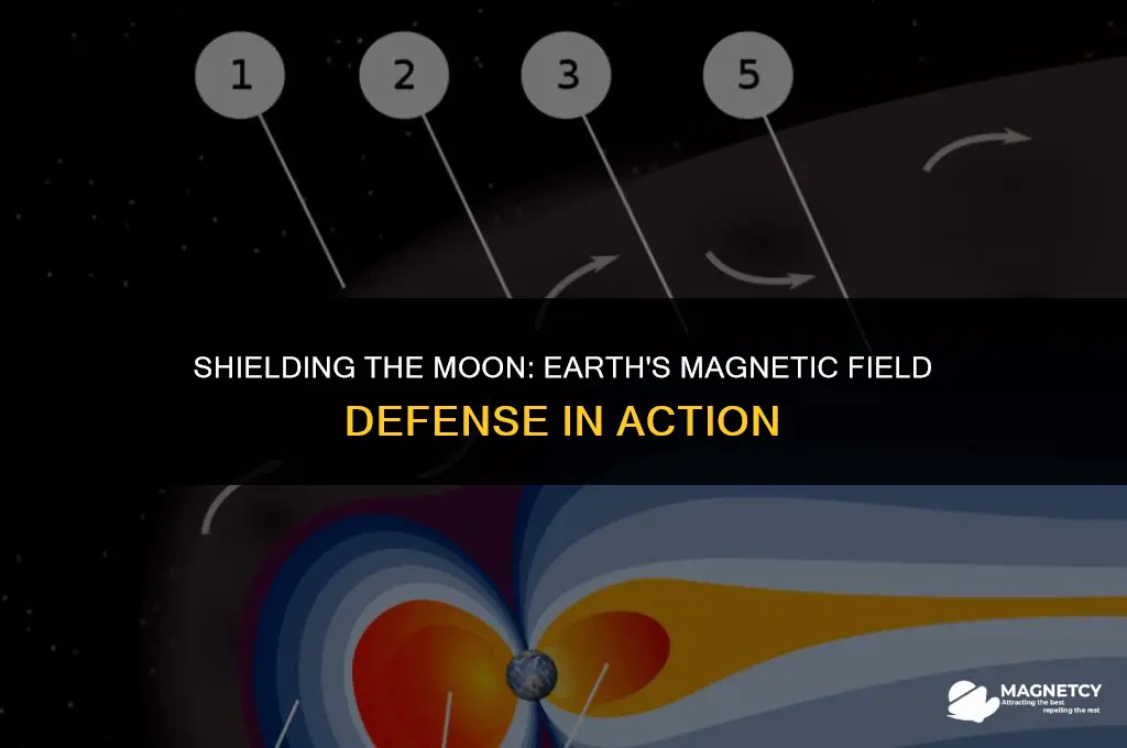 does earth magnetic field protect the moon