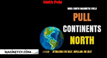 Exploring Geomagnetism: The Northern Tug on Earth's Continents